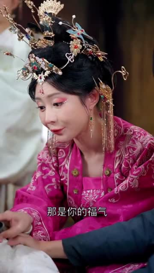 宫锁南枝（31集）免费在线看