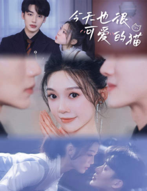 今天也很可爱的猫（72集）精彩短剧又来了