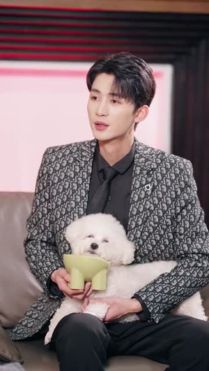 酒醒后手里多了本结婚证（77集）百度网盘在线看