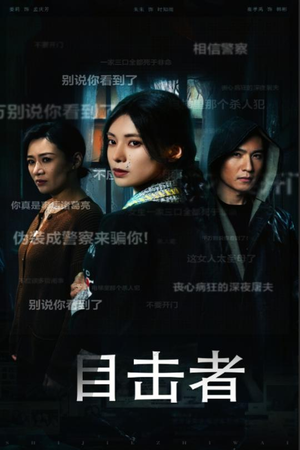 目击者&深夜伪装（30集）解说