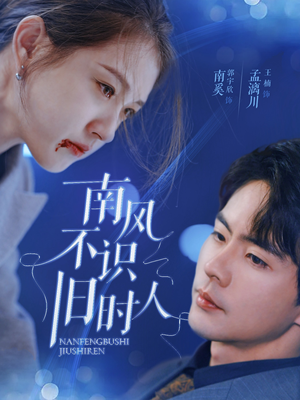 南风不识旧时人（63集）短剧精彩不断