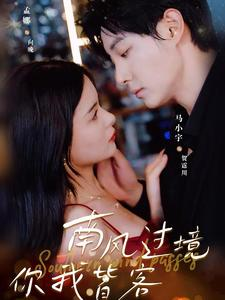 南风国境你我皆客（80集）精彩短剧又来了