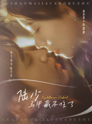 陆少马甲藏不住了（63集）第三季