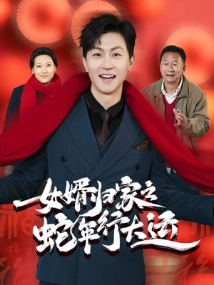 女婿归家之蛇年行大运（65集）全集都在这里了