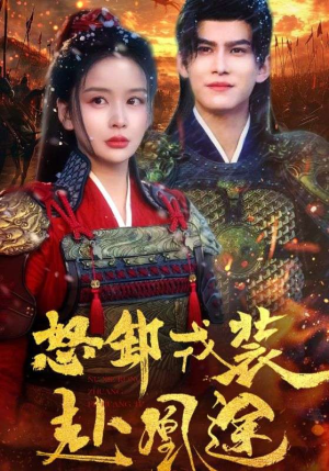 怒卸戎装赴凰途（70集）评价怎么样