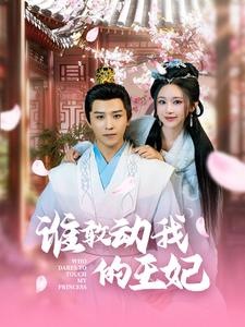 谁敢动我的王妃（62集）UC网盘在线看