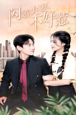 闪婚夫妻不好惹（90集）评价怎么样