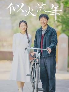 似火流年（100集）全季一次看完