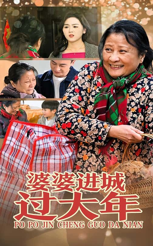 婆婆进城过大年（33集）免费观看完整版
