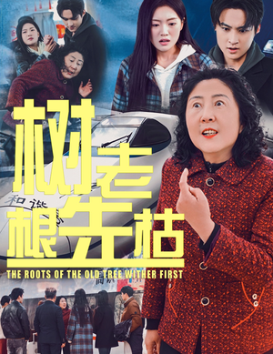 树老根先枯（33集）精彩短剧追不停