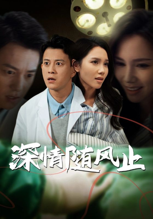 深情随风止（54集）短剧前十排行榜