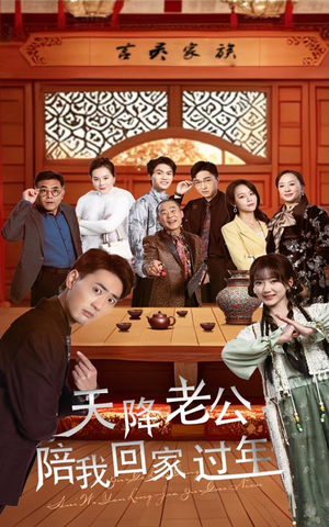 天降老公陪我回家过年（60集）短剧免费看