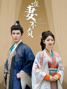 唯妻不负（80集）独家资源免费看