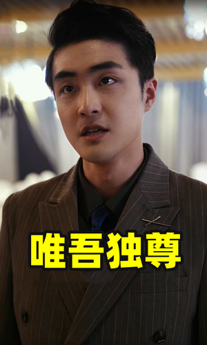 唯吾独尊（96集）视频在线看