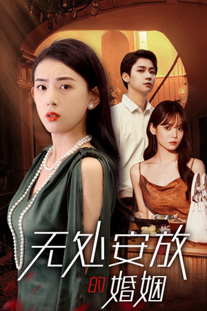 无处安放的婚姻（41集）演员表