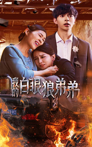 我的白眼狼弟弟（69集）短剧免费看全集