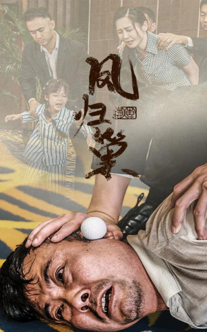 新版：凤归巢（68集）网上可以看吗