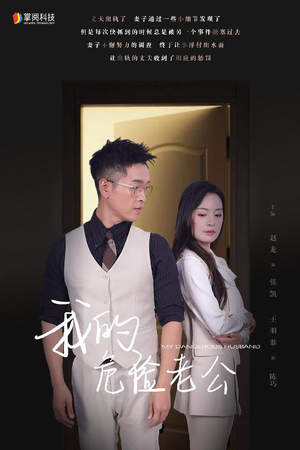 我的危险老公（63集）短剧解说热门