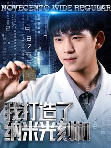 我打造了纳米光刻机（76集）大结局