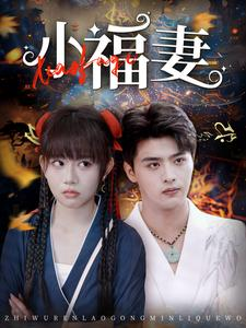 小福妻(62集) 小福妻(62集)短剧推荐上热门
