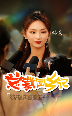 总裁回乡记（67集）全集在线看