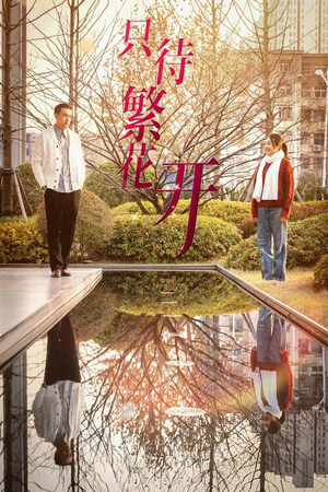 只待繁花开（35集）大结局一气呵成