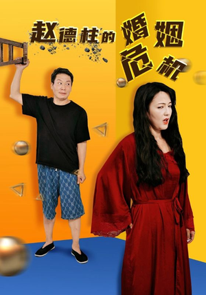 赵德柱的婚姻危机（35集）全集完整版