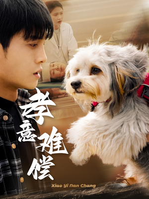 孝意难偿（32集）在线看