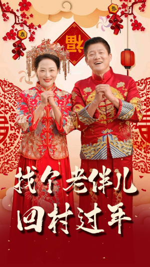 找个老伴儿回村过年（58集）热门了短剧