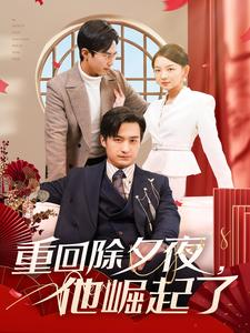 重回除夕夜他崛起了（89集）每天分享短剧