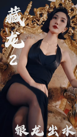 藏龙2银龙出水（35集）在线看免费版