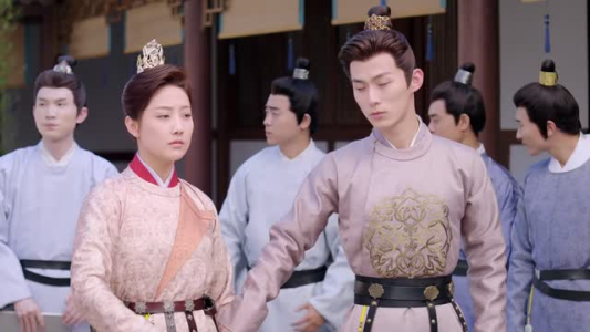 有花在洲（28集）免费观看全集