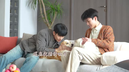 致命游戏（死亡万花筒剧版）好看短剧抢先看