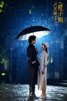 又见面了楼小姐（68集）最新热剧免费看