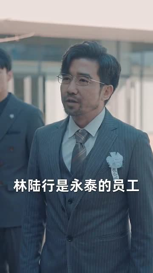 中年自救指南（33集）高分推荐免费看