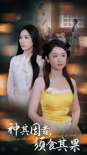 种其因者，须食其果（45集）我全都看完了