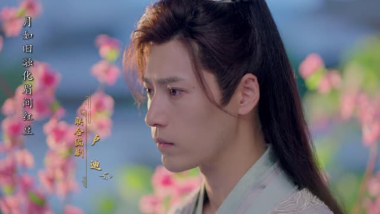 红颜无双（24集）更新时间一览表