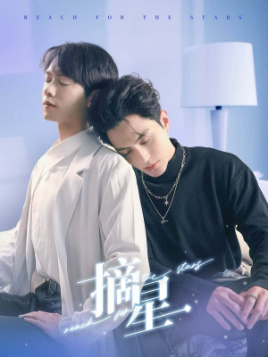 摘星（81集）一口气看完