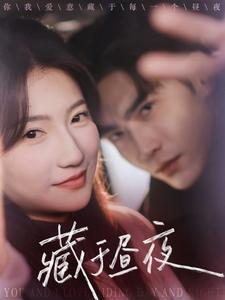 藏于昼夜（68集）好看到停不下来