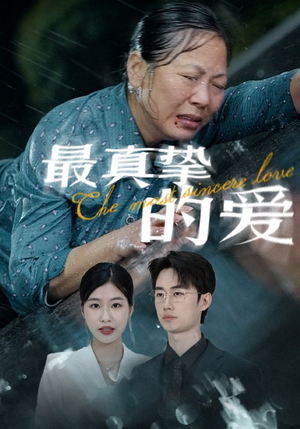 最真挚的爱（76集）精彩短剧热播
