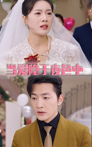 当爱隐于夜色中（37集）在线看