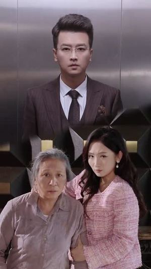 无言寸草心（60集）全集一次看完