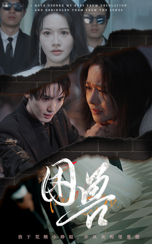 困兽（31集）在哪个app能看