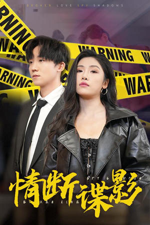 情断谍影（30集）高清无码免费看