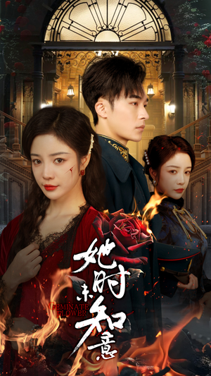 她时未知意（70集）百万短剧抢先看