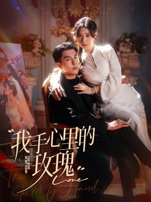 我手心里的玫瑰（91集） 不用花钱看全剧