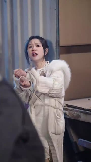 隧道惊魂（30集） 追短剧关注我