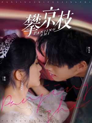 攀京枝（80集） 短剧免费看