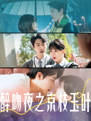 醉吻夜之京枝玉叶（90集） 真的太精彩了