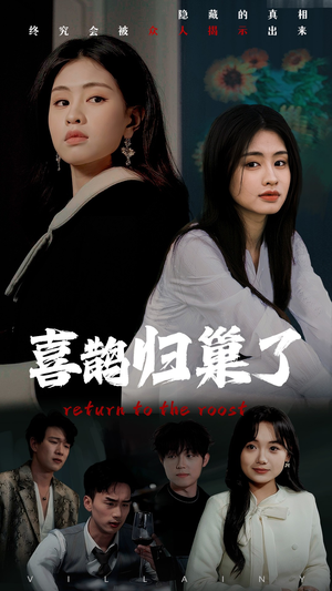 喜鹊归巢了（60集） 评价怎么样